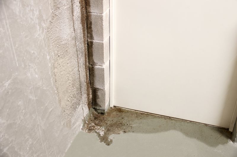 Foundation Moisture Control in Fort Collins, CO